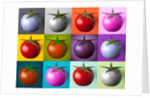 Multi coloured tomatos by Assaf Frank